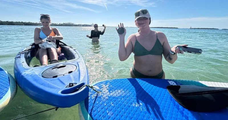 Anna Maria Island: Happy Hour Dolphin & Manatee Tour