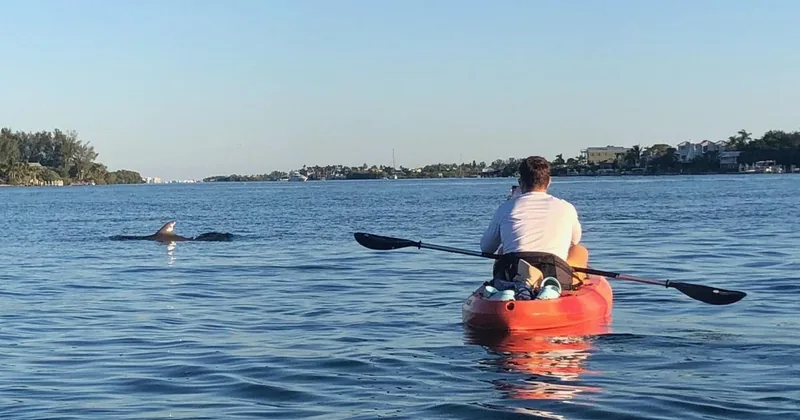 Sunset Dolphin Cruise