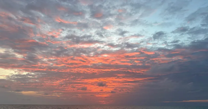 Anna Maria Island: Sunset Cruise with Wildlife Watching