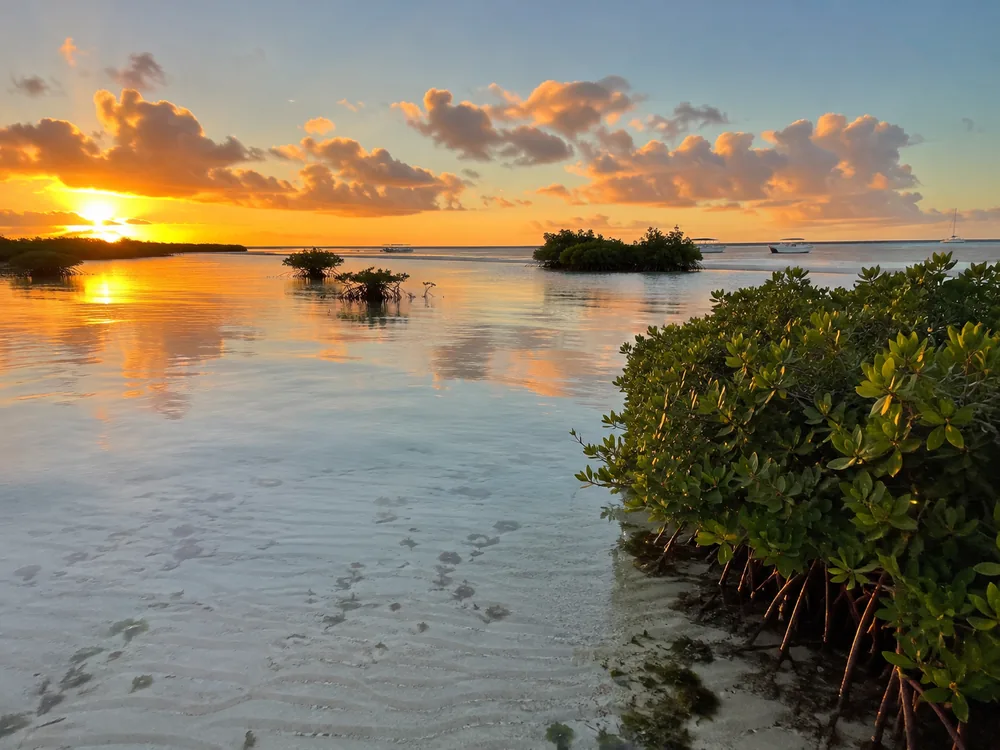 The sheltered bay side of the island at golden hour