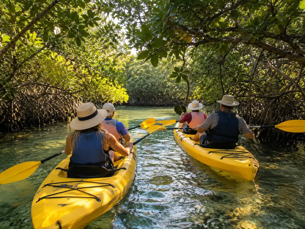 Two tandem kayaks on a guided tour